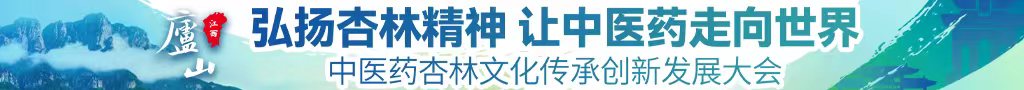 国产女生逼中医药杏林文化传承创新发展大会